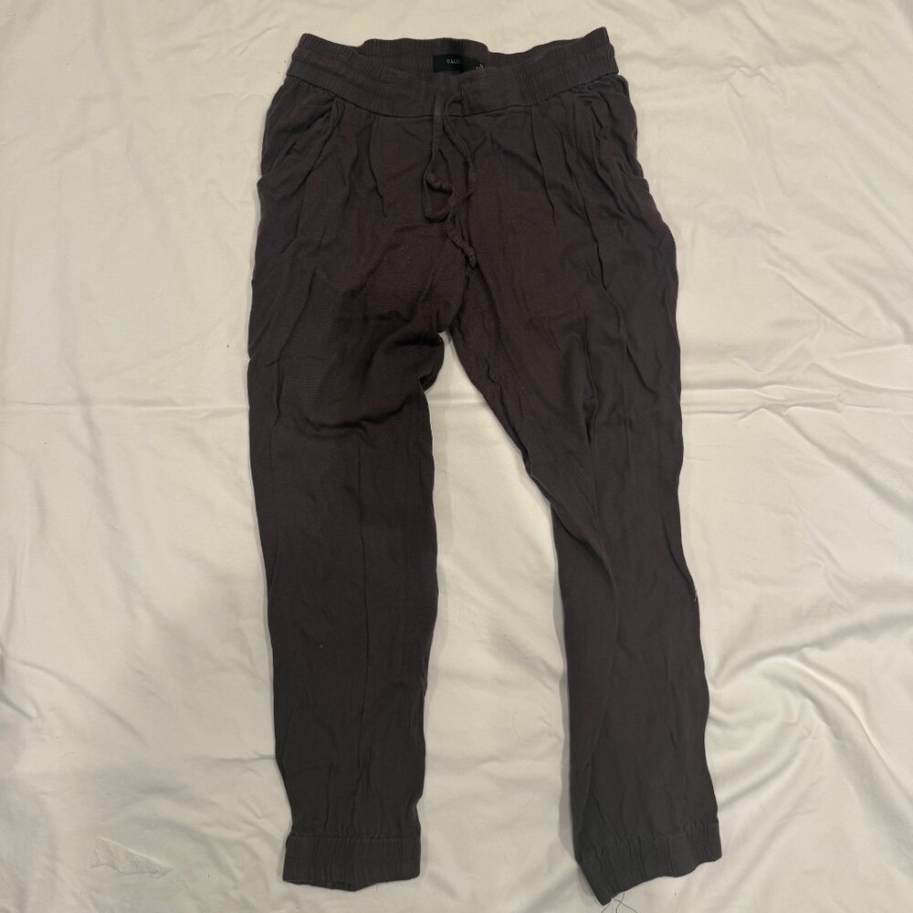 Talula Aritzia Joggers in a purple/gray